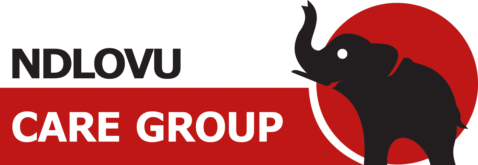 Ndlovu Care Group